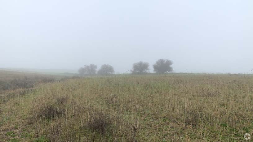 Polígono 12, Villaviciosa de Odón, Madrid à vendre Photo principale– Image 1 sur 15