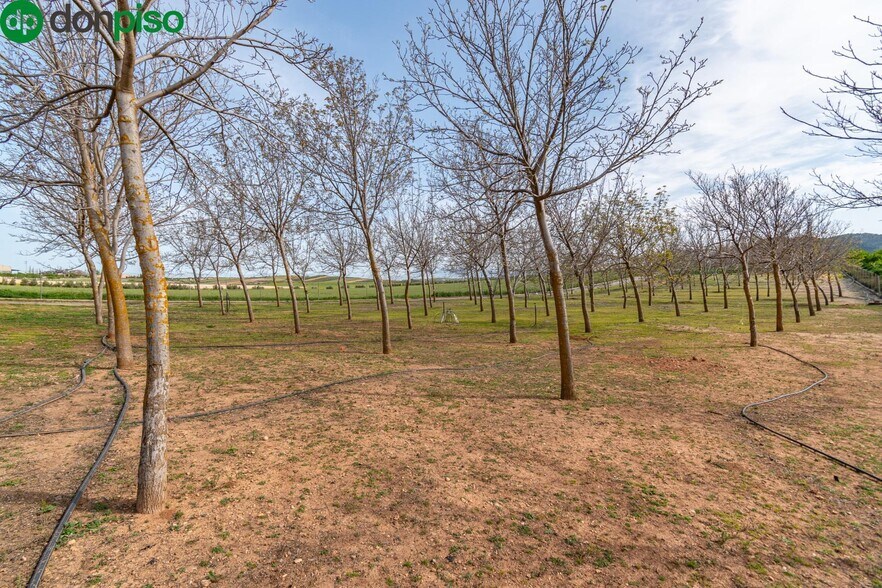 Pago de las Manguetas, 4, Padul, Granada à vendre - Photo de l’immeuble – Image 3 sur 50