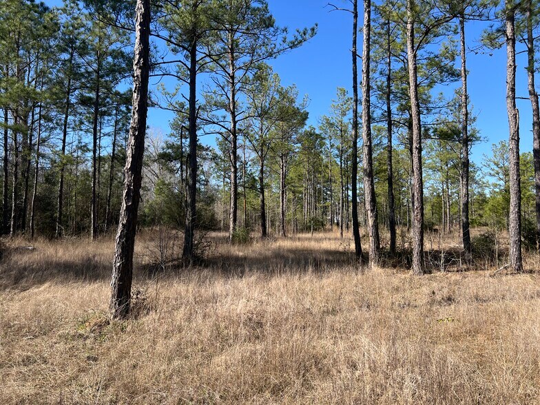 2100 Lee Turner Rd, Cleveland, TX à vendre - Photo de l’immeuble – Image 3 sur 6