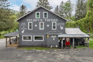 Plus de détails pour 553 County Road 94, Hankins, NY - Local commercial à vendre