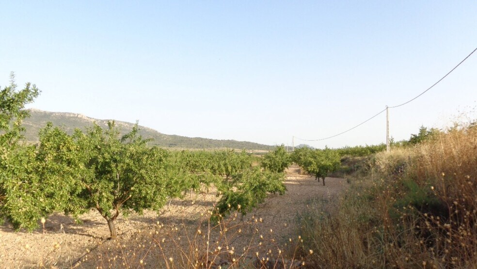 Terrain dans Salinas, Alicante à vendre - Aérien – Image 2 sur 16