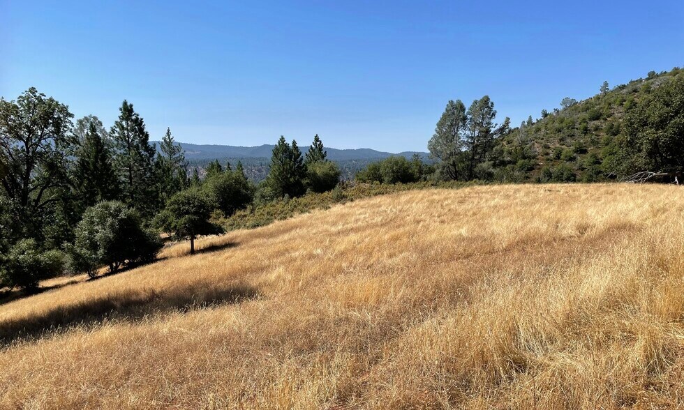 00000 Forrest Road 1N19, Tuolumne, CA à vendre - Photo de l’immeuble – Image 3 sur 24