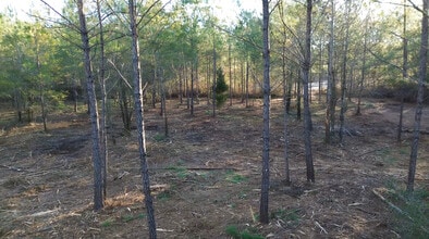 319 - 547 Sisters Ferry Road, Ridgeland, SC - Vue aérienne  vue de carte - Image1