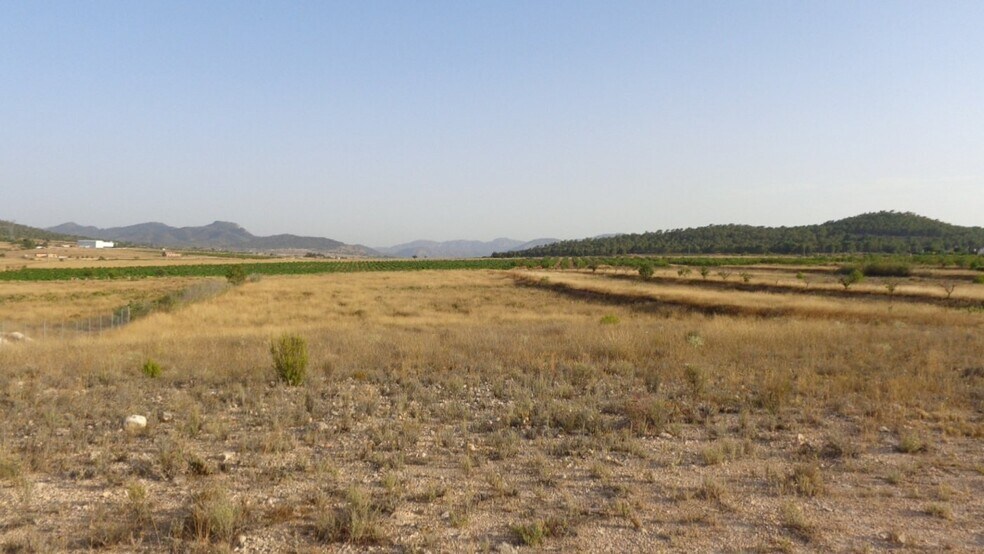 Terrain dans Salinas, Alicante à vendre - Aérien – Image 3 sur 16