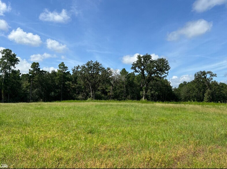 18288 FM 1774, Plantersville, TX à vendre - Aérien – Image 3 sur 20