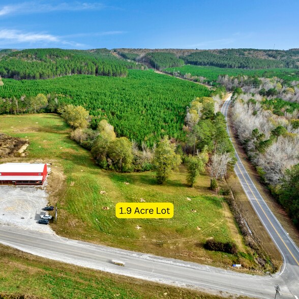 0 County Road 222, Cullman, AL à vendre - Photo de l’immeuble – Image 2 sur 9