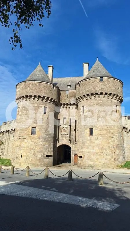 Plus de détails pour Local d’activités à vendre