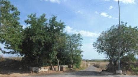 Torreblanca, Costa del Azahar, CASTELLÓN DE LA PLANA, Castellón à vendre - Photo de l’immeuble – Image 3 sur 5