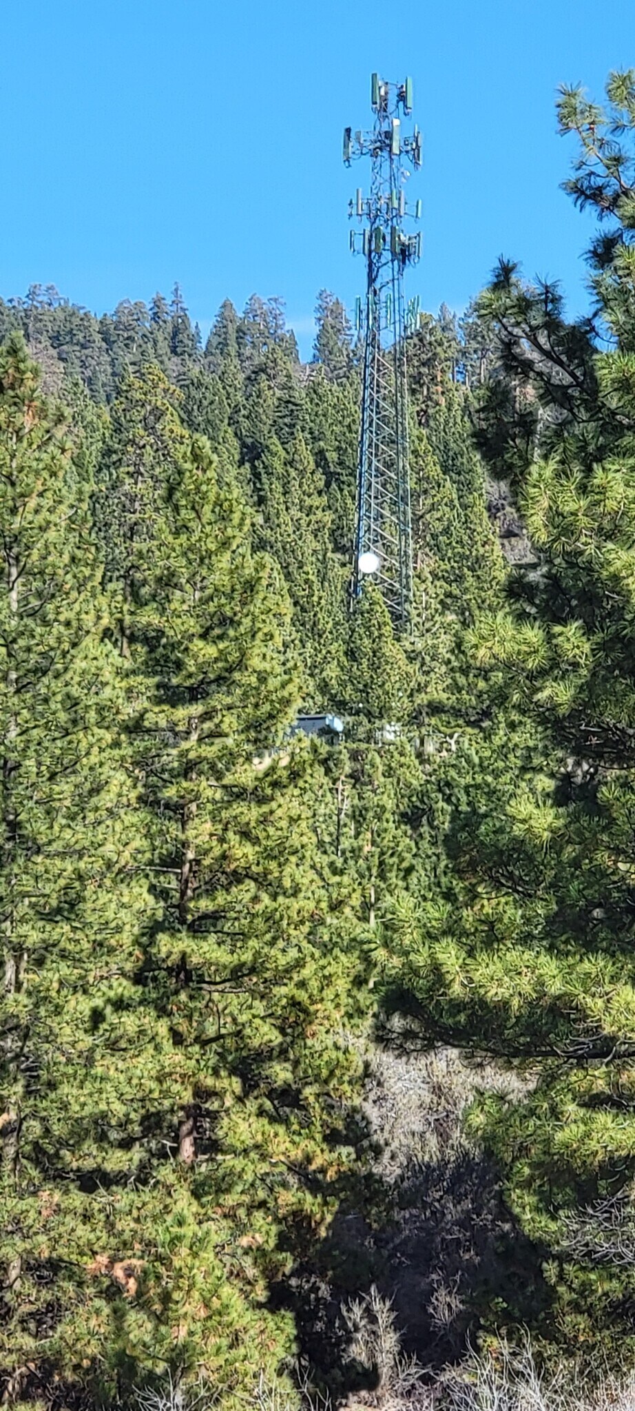 16774 Hinton Dr, Truckee, CA à vendre Photo principale– Image 1 sur 14