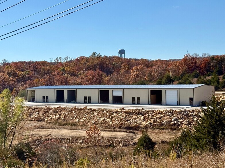 350 Stonetree Drive, Branson, MO à louer - Photo de l’immeuble – Image 2 sur 5