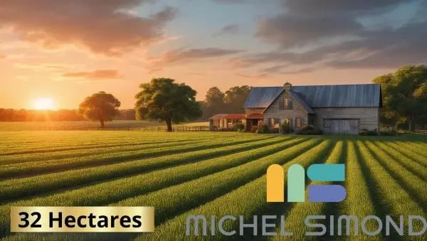 Local d'activités dans Perpignan à vendre Photo de l’immeuble– Image 1 sur 2