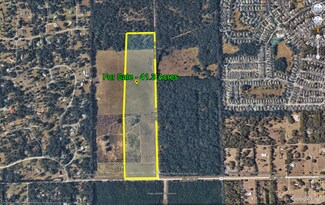 Plus de détails pour 8656 SW 75th St, Gainesville, FL - Terrain à vendre