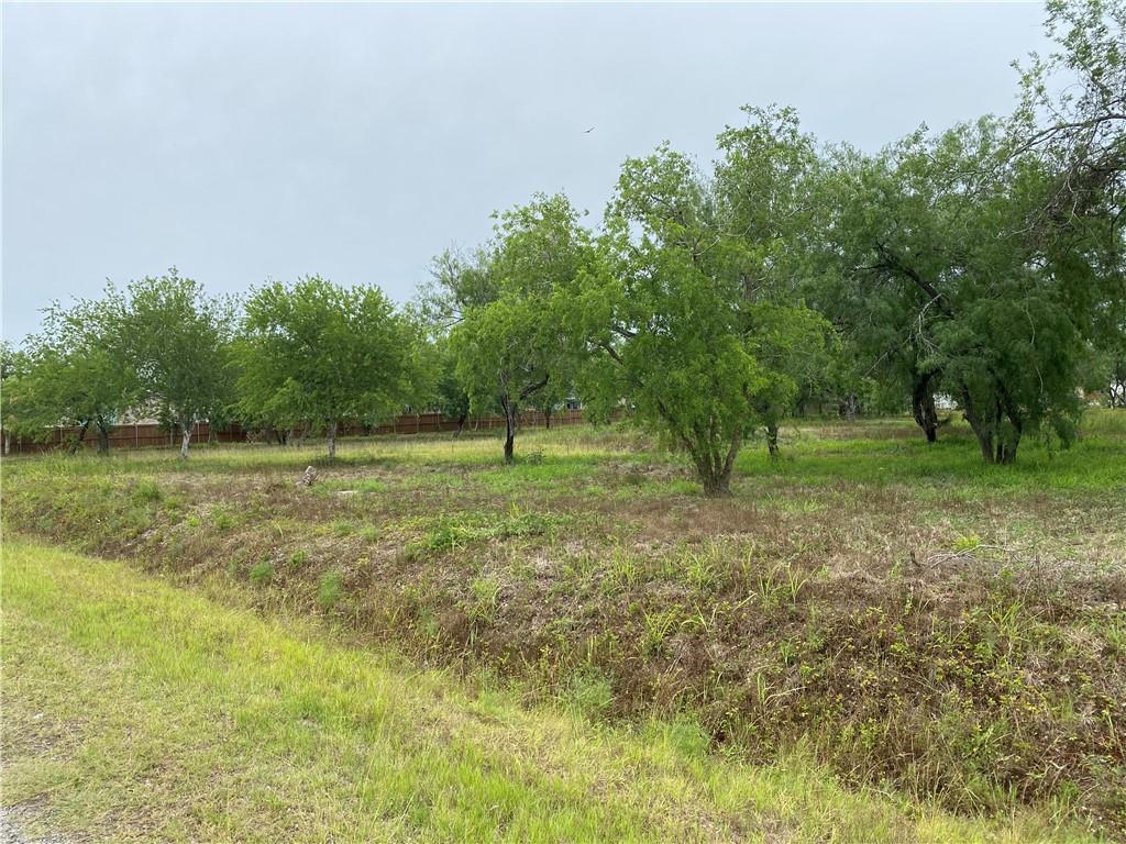 Cemetery Road, Sinton, TX à vendre Photo de l’immeuble– Image 1 sur 10