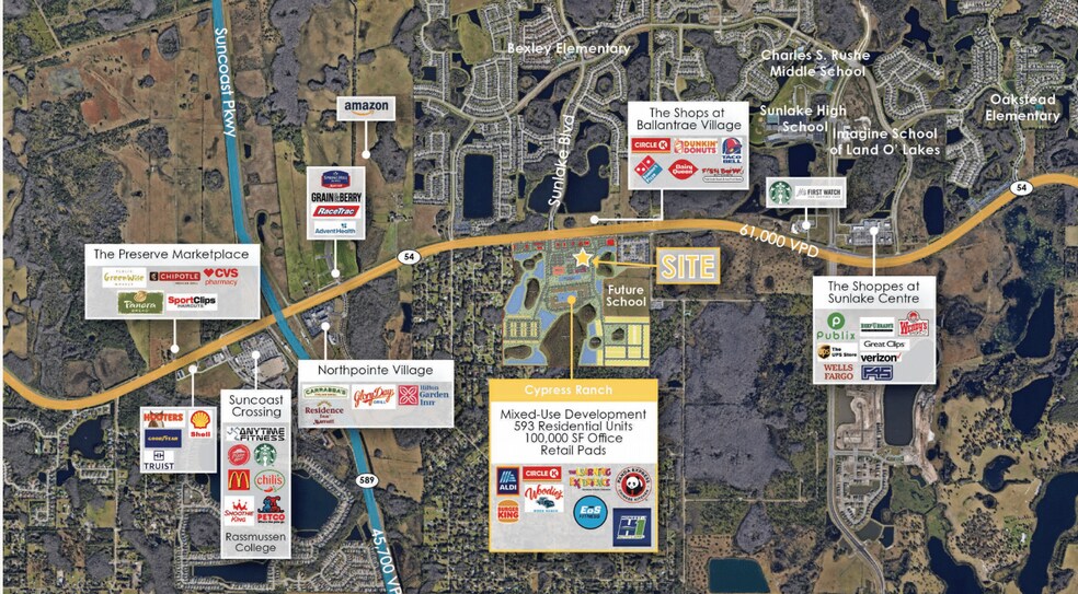 17740 Harpers Run, Lutz, FL à louer - Photo de l’immeuble – Image 2 sur 3