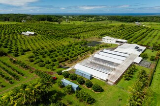 Plus de détails pour 17-4150 Huina Rd., Kurtistown, HI - Terrain à vendre