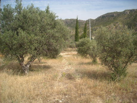 Terrain dans Calasparra, Murcia à vendre - Plan de site – Image 2 sur 10