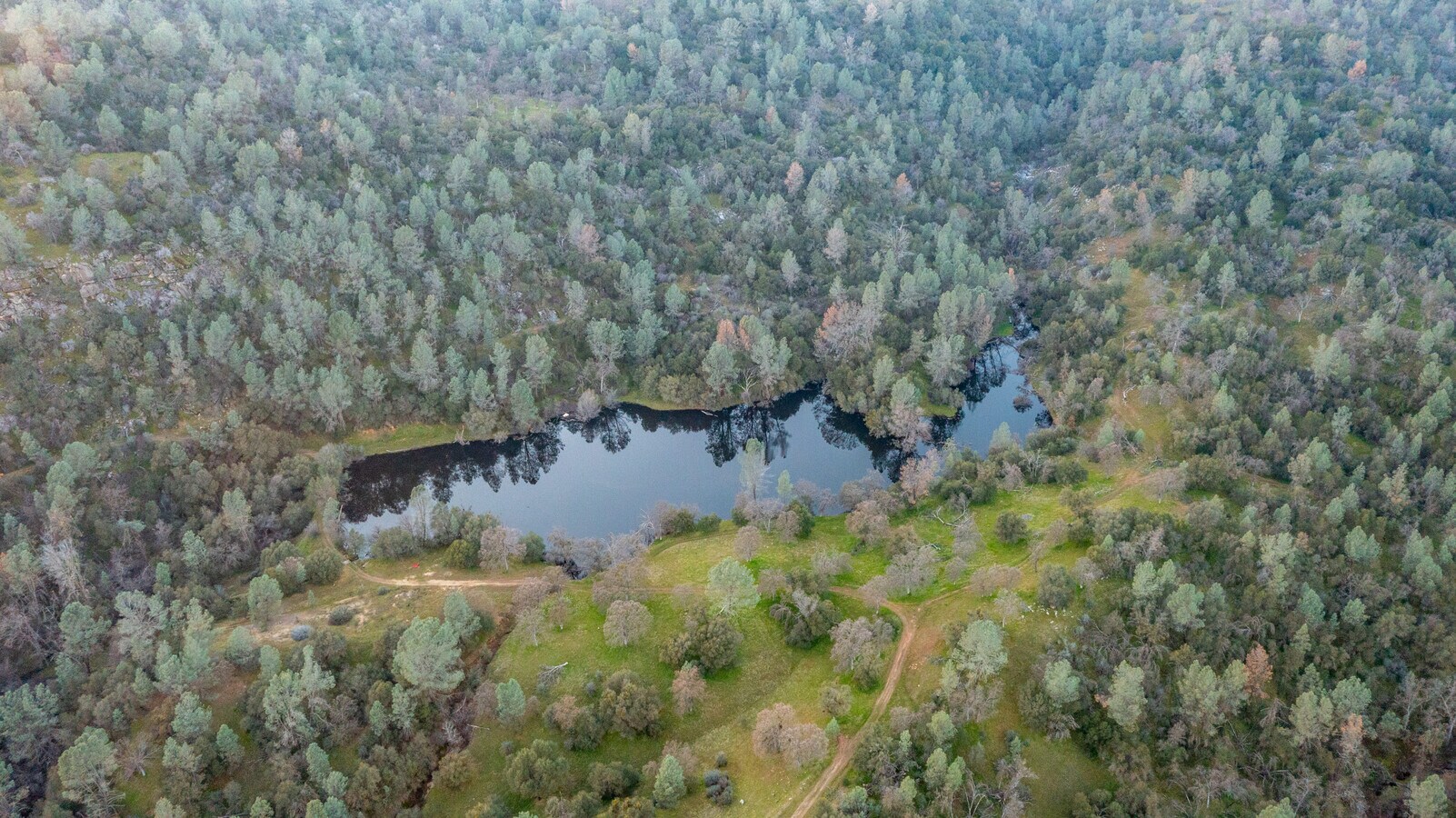 View Photo