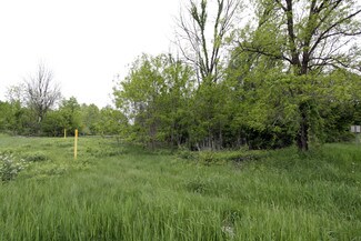 Plus de détails pour 61321 W 8 Mile Rd, South Lyon, MI - Terrain à vendre
