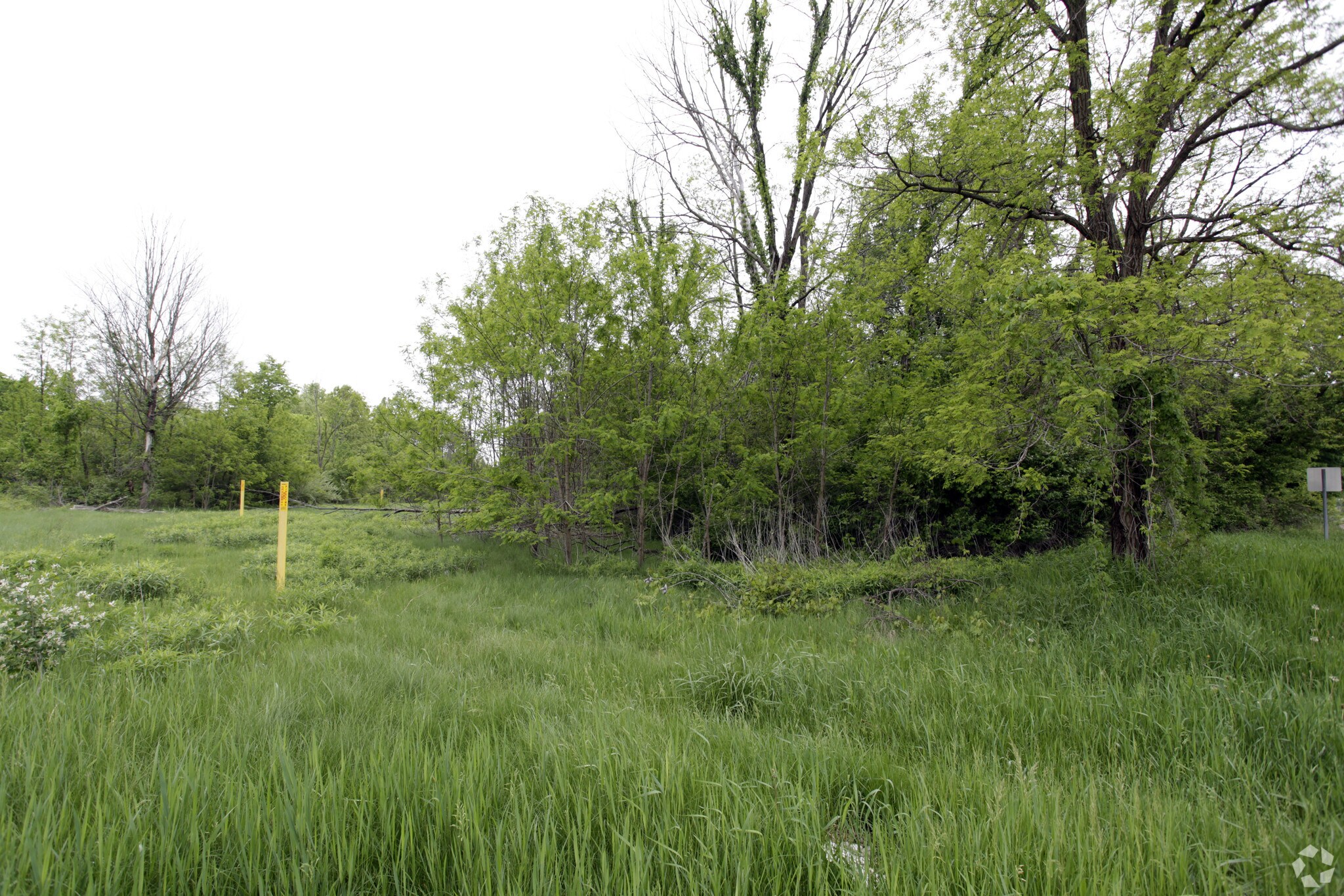 61321 W 8 Mile Rd, South Lyon, MI à vendre Photo principale– Image 1 sur 4
