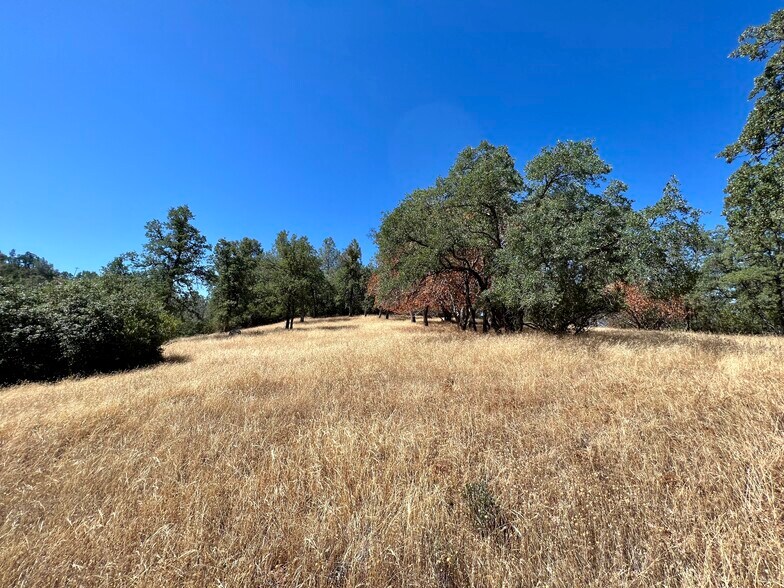 3090 Omo Ranch Rd, Somerset, CA à vendre - Photo principale – Image 1 sur 40