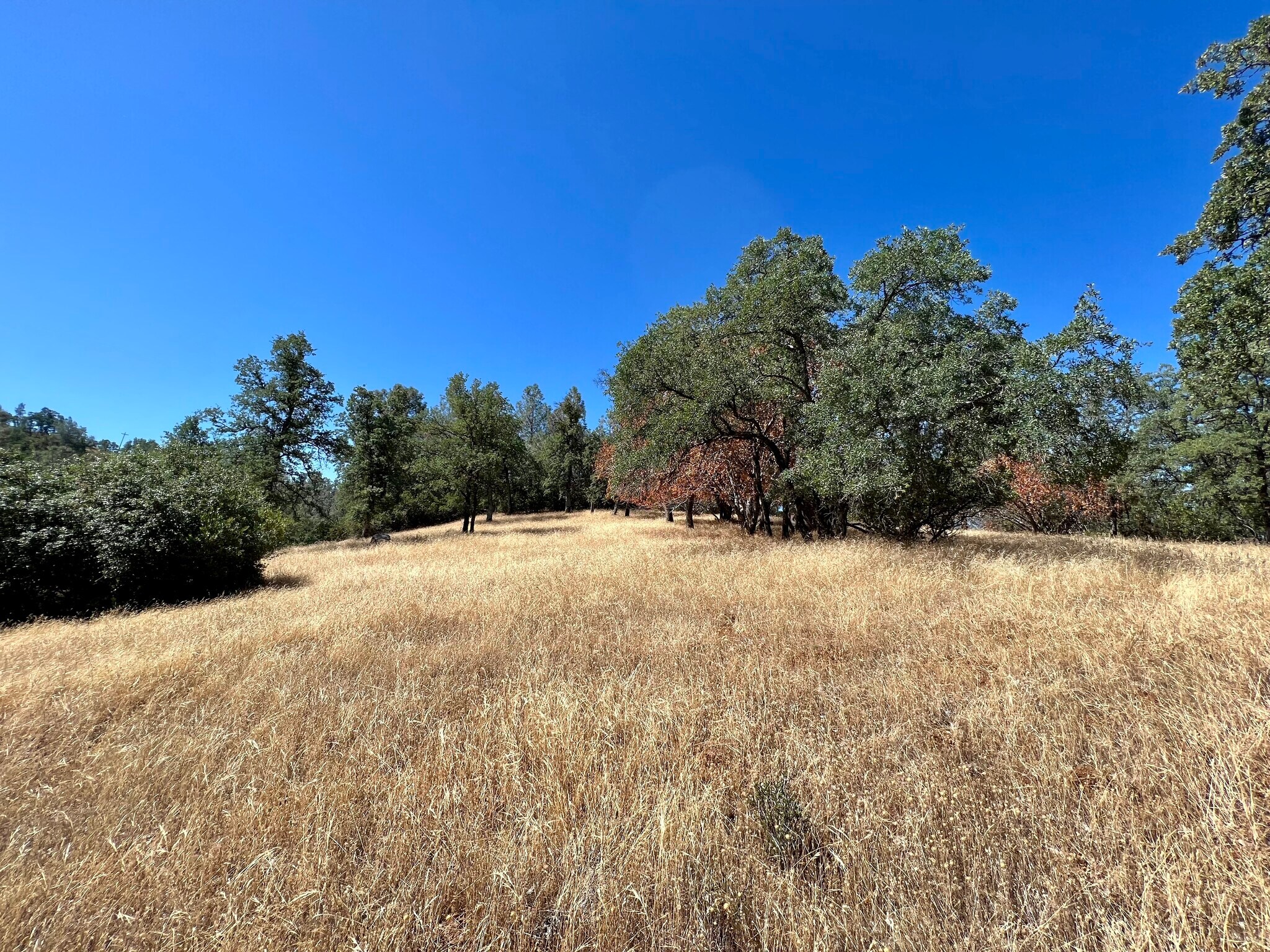 3090 Omo Ranch Rd, Somerset, CA à vendre Photo principale– Image 1 sur 41