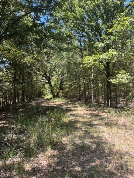 Elm Grove, Elm Grove, LA à vendre - Photo de l’immeuble – Image 2 sur 3