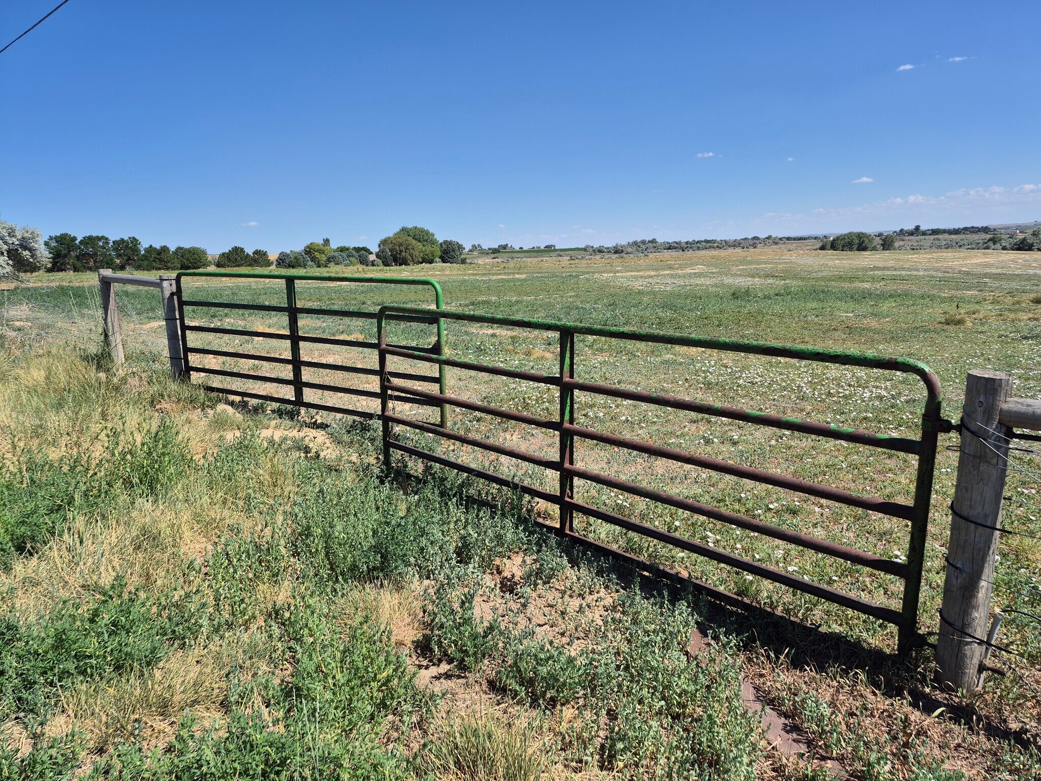 9140 County Road 54, Milliken, CO à vendre Photo de l’immeuble– Image 1 sur 8