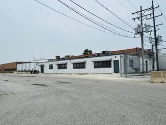 Plus de détails pour 4910 S Monitor Ave, Chicago, IL - Industriel/Logistique à louer