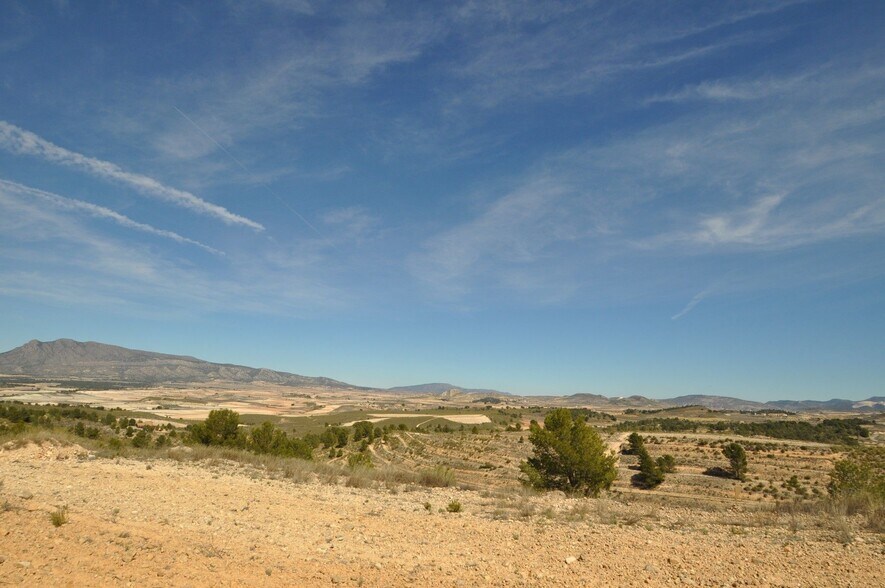 Terrain dans Jumilla, Murcia à vendre - Aérien – Image 1 sur 23
