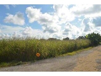 SW 136th St, Miami, FL à vendre - Autre – Image 2 sur 5