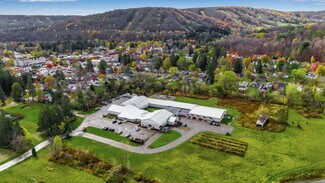 Plus de détails pour 2-85 Bristol Ln, Ellicottville, NY - Bureau/Local commercial à louer