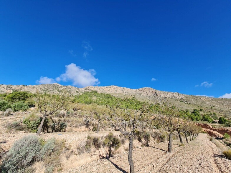 Terrain dans La Romana, Alicante à vendre - Aérien – Image 3 sur 12
