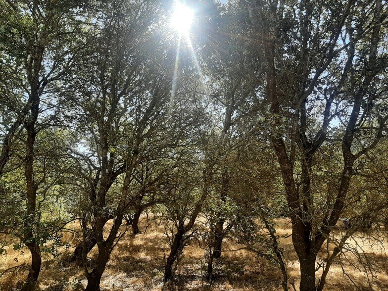 Terrain dans Torreorgaz, Cáceres à vendre - Photo principale – Image 1 sur 6