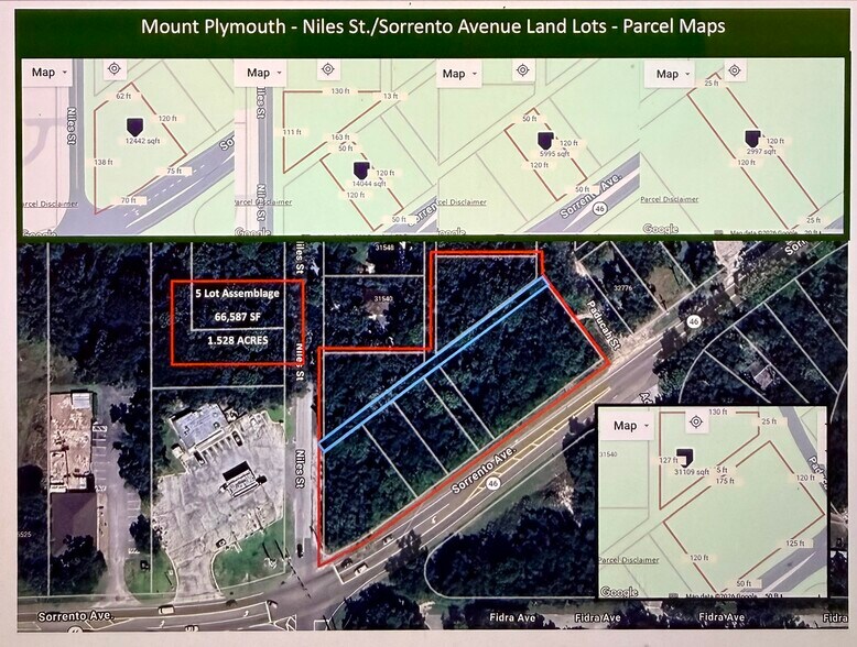 SR46-CR435 (Sorrento Ave & Niles St), Mount Plymouth, FL à vendre - Photo de l’immeuble – Image 2 sur 3