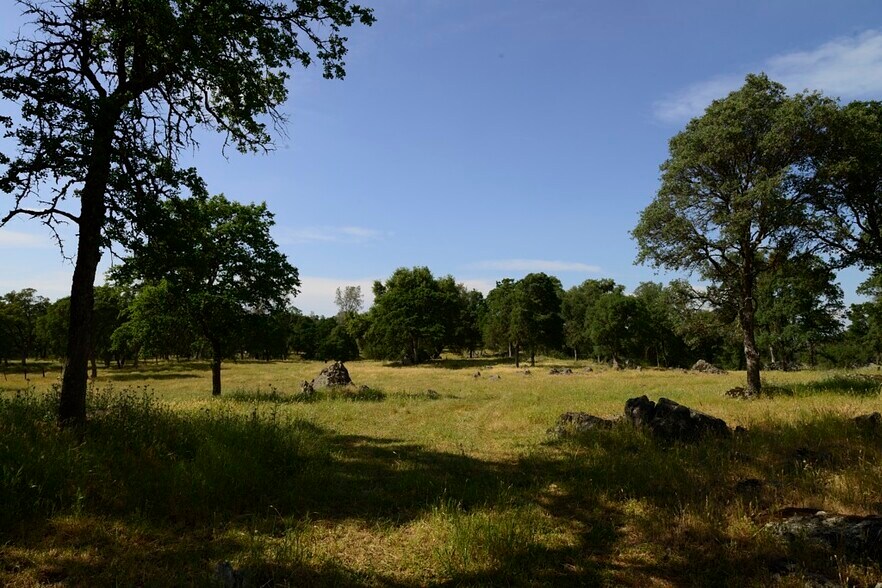 148 Acre Landrum St, Plymouth, CA à vendre - Photo de l’immeuble – Image 2 sur 18