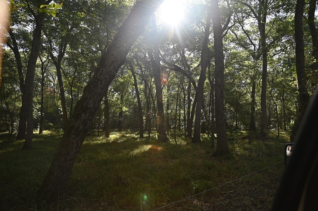 View Photo
