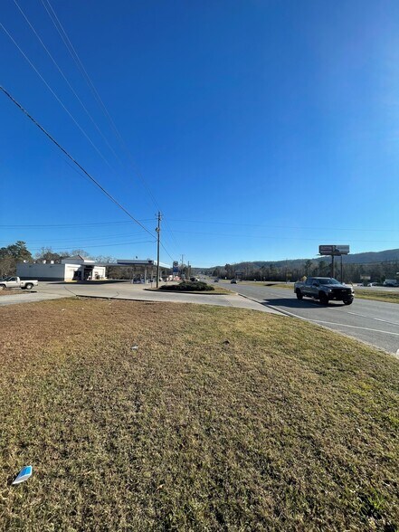 37105 US Hwy 280, Sylacauga, AL à vendre - Photo de l’immeuble – Image 2 sur 4