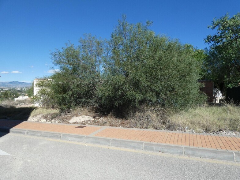 Terrain dans Molina de Segura, Murcia à vendre - Photo de l’immeuble – Image 1 sur 8