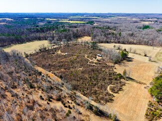 Plus de détails pour 4798 Pearl Ferguson Rd, Liberty, NC - Terrain à vendre