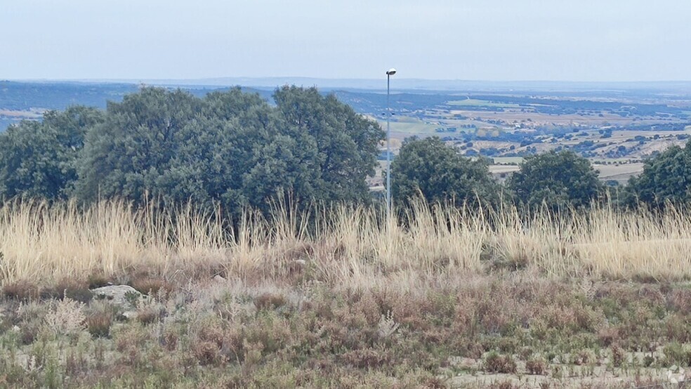 Terrain dans Zarzuela del Monte, Segovia à vendre - Photo de l’immeuble – Image 2 sur 9