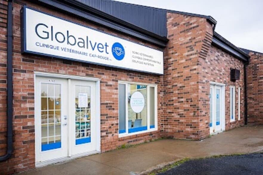 8 Vet Clinics portefeuille de 8 biens à vendre sur LoopNet.fr - Photo principale – Image 2 sur 5