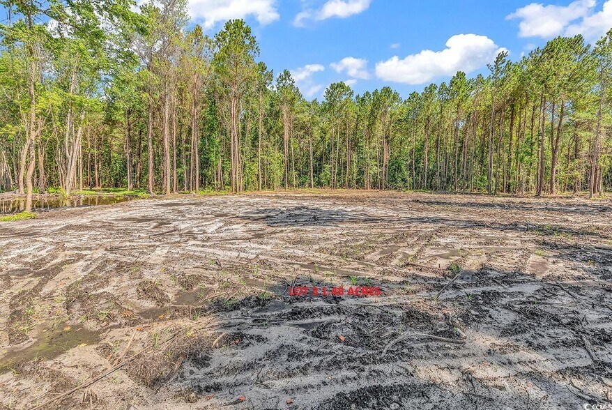 Lot 3 Coats Rd, Loris, SC à vendre - Aérien – Image 2 sur 2