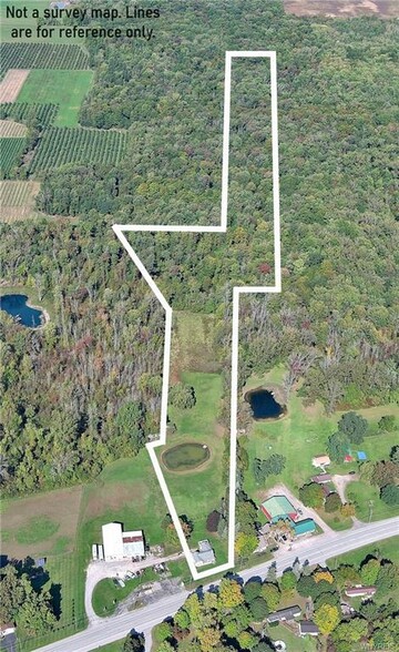 10769 Ridge Rd, Medina, NY à vendre - Photo de l’immeuble – Image 2 sur 33