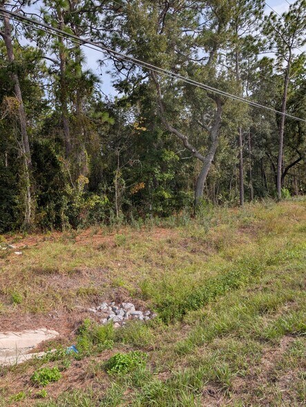 9115 S Suncoast Blvd, Homosassa, FL à vendre - Photo de l’immeuble – Image 3 sur 4