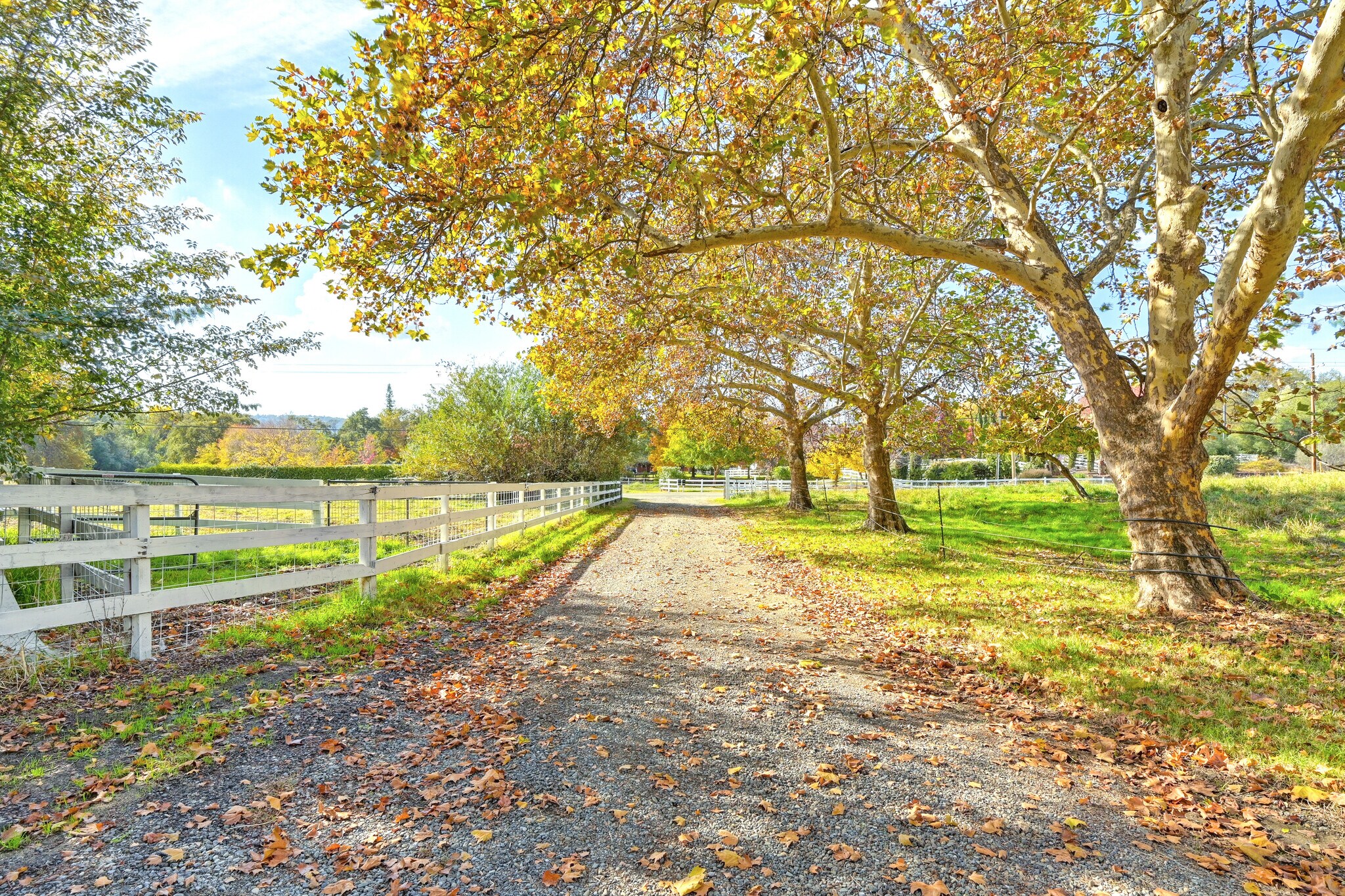 1200 Gold Hill Rd, Newcastle, CA à vendre Photo principale– Image 1 sur 108
