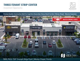 Plus de détails pour 7605 Triumph Ridge Pt, Wesley Chapel, FL - Local commercial à vendre