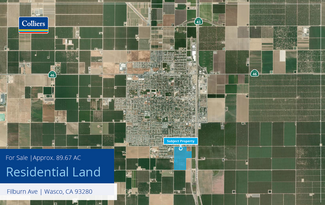 Plus de détails pour Filburn Ave, Wasco, CA - Terrain à vendre