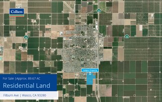 Plus de détails pour Filburn Ave, Wasco, CA - Terrain à vendre
