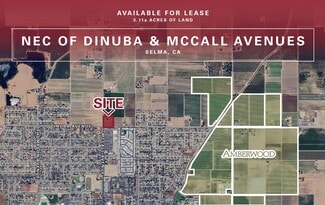 Plus de détails pour Dinuba Avenue, Selma, CA - Terrain à louer