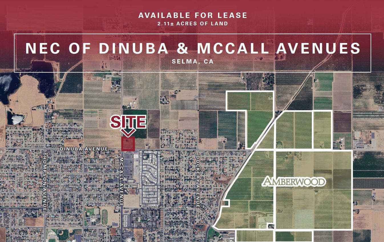 Dinuba Avenue, Selma, CA à louer Photo principale– Image 1 sur 3